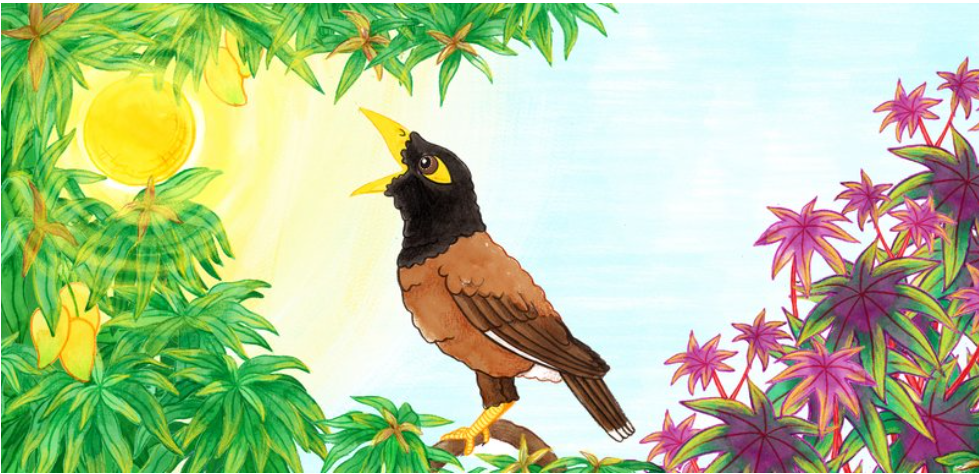 How the Myna Ate the Sun